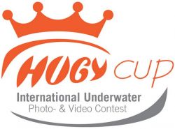 concours photo et vidéo sous marine