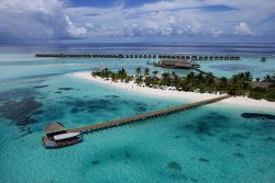 séjour plongée maldives