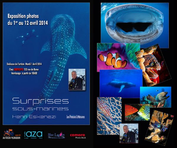 exposition photos et livre plongée sous-marine
