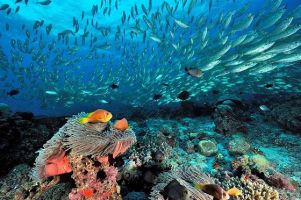 expédition plongée sous marine madives
