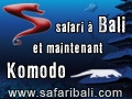Safari Bali - Séjour plongée itinérant à Bali et croisière Indonésie