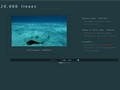 20000 lieues sous les mers - Photos épaves sous-marines