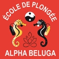 Alpha Beluga - Centre de plongée Port Frejus